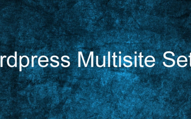 Wordpress Multisite Setup