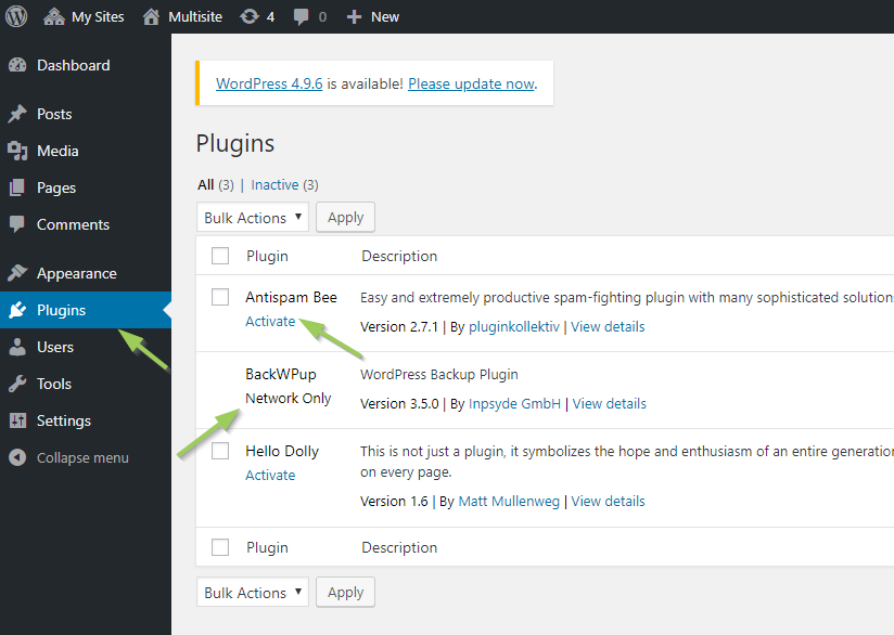 plugin admin wordpress multisite