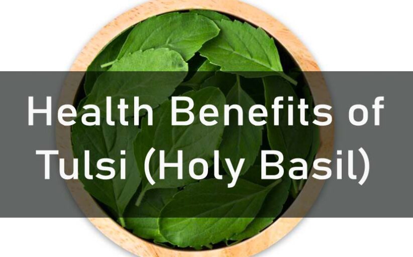 Health Benefits of Tulsi (Holy Basil)