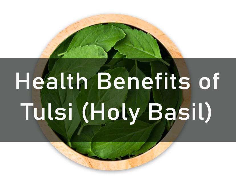 Health Benefits of Tulsi (Holy Basil)