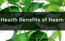 Health Benefits of Neem